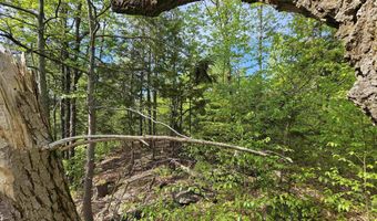 Province Road lot 26, Belmont, NH 03220