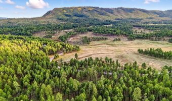 1 A FOREST ROAD 26, Alpine, AZ 85920