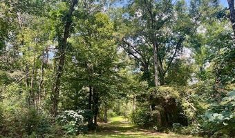 60327 Highway 445, Amite, LA 70422