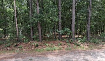 8070 Williford Rd, Adams Run, SC 29426