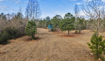 241 Foskey Cemetary Rd, Adrian, GA 31002
