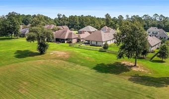 23375 NOBLE OAK Dr, Springfield, LA 70462