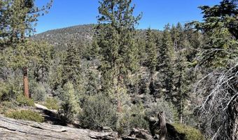 Highway 38, Angelus Oaks, CA 92305