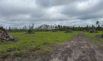9 219 Ac Rhine Alma GA Rd, Alma, GA 31510