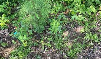 2061 Henry Scott Rd-LOT A 2.9 Acres, Ball Ground, GA 30107