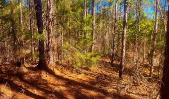 1919 Arthur Dr NW, Brookhaven, MS 39601