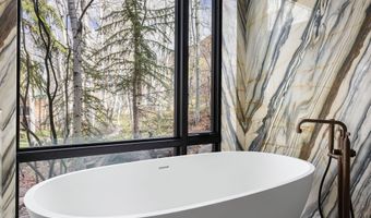 323 E Reds Rd, Aspen, CO 81611