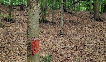 M22 Northwood Hwy, Arcadia, MI 49613