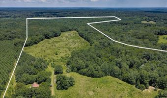 6925 Cobbham Rd, Appling, GA 30802