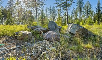 50 Trails End Ct, Bigfork, MT 59911