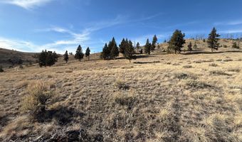 83 Nursery Creek Rd, Boulder, MT 59632
