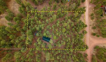 19 Hillcrest Dr, Alpine, AZ 85920