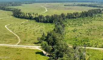 38774 S Mccarrol Rd, Amite, LA 70422