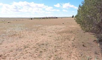 481 S Coyote Rd, Apple Valley, UT 84737