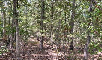 Highway 2 lot 6-9, Antlers, OK 74523