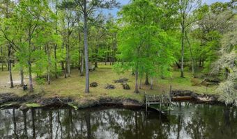 7960 SW 25th Pl, Bell, FL 32619