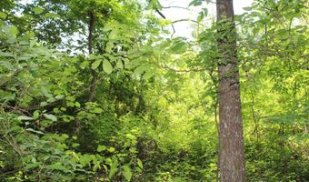 1800 Highway 4 E, Ashland, MS 38603