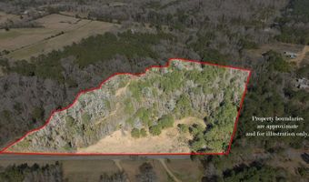 000 Mt Pleasant Ln SE, Bogue Chitto, MS 39629