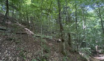 643 Pine Grove Rd, Beattyville, KY 41311