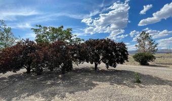 8770 W Ring Rd, Crescent Valley, NV 89821