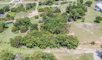 113 Denton Heights Ln, Weatherford, TX 76085