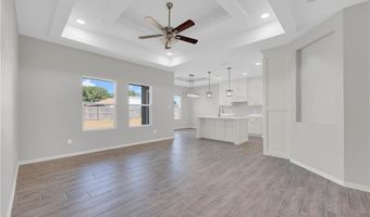 429 Serg Loop, Alamo, TX 78516