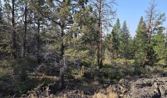 Cathy Way lot 21-23, Beatty, OR 97621
