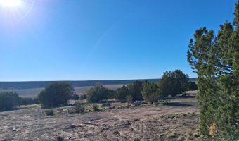 22 N 8171, Concho, AZ 85924