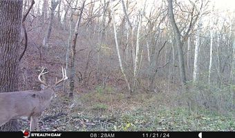 Chickadee Court, Agency, MO 64401