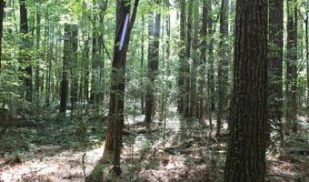 00 Pinola Braxton Rd, Braxton, MS 39044