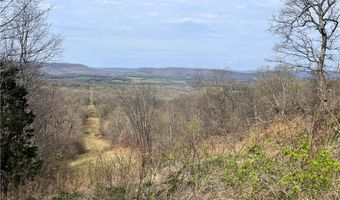 320 Acres CR 921, Alpena, AR 72611