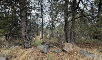 Nighthawk Drive 17 & 18, Bonanza, OR 97623