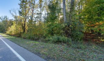 VL 61acres 34th, Allegan, MI 49010