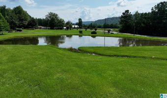 3941 SHOAL CREEK Rd, Ashville, AL 35953