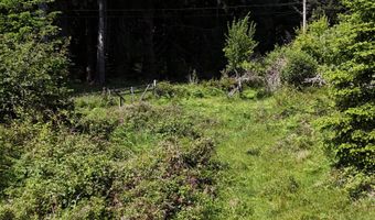 20452 Whaleshead Rd, Brookings, OR 97415