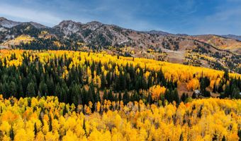 12490 E OLD STAGE Rd, Brighton, UT 84121