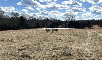 1522 County Road 404, Alton, MO 65606