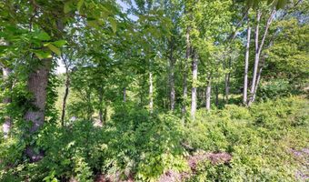 17 Tulip Poplar Trl 30, Asheville, NC 28804