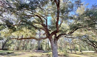 10846 County Road 138, Bay Minette, AL 36507