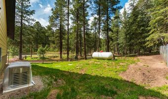 12316 County Road 501, Bayfield, CO 81122