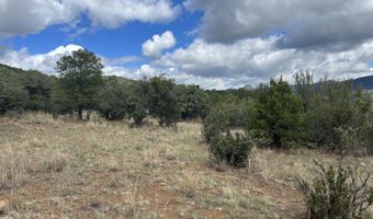 415 XYZ, Arenas Valley, NM 88022