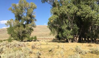 1000 SMITHS FORK Rd, Cokeville, WY 83114