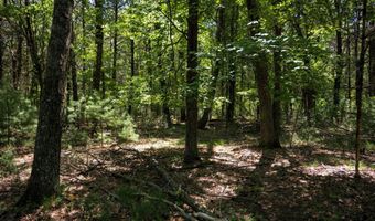 19 Th Pass Lot 132, Arkdale, WI 54613