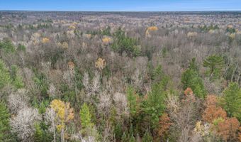 VL Wildwood Road, Alger, MI 48610