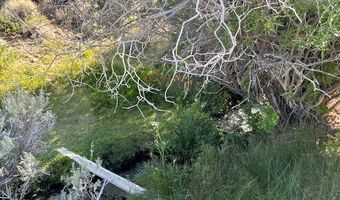 1220 SETTLER'S Way, Dyer, NV 89010