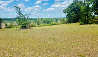 1687 Hwy 131, Baker Hill, AL 36027