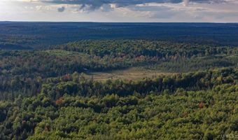 Luke Road, Amasa, MI 49903