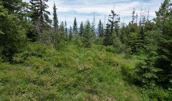 Nka INITIAL PEAK RD, Cataldo, ID 83810
