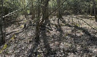 62 Acres Buckeye Ridge Rd, Beech Mountain, NC 28604