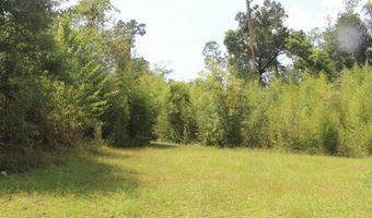 417 Lakepoint Rd, Alford, FL 32420